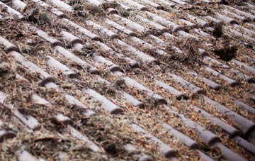 Far End roof cleaning companies